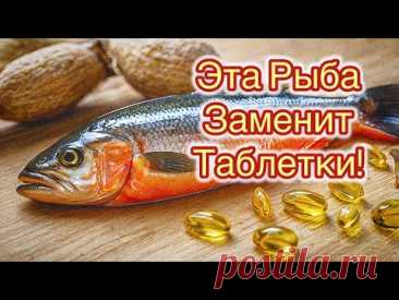 Топ 5 рыб за копейки, в которых ОМЕГА-3 больше, чем в Лососе