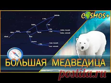 БОЛЬШАЯ МЕДВЕДИЦА ● ВСЁ О БОЛЬШОЙ МЕДВЕДИЦЕ