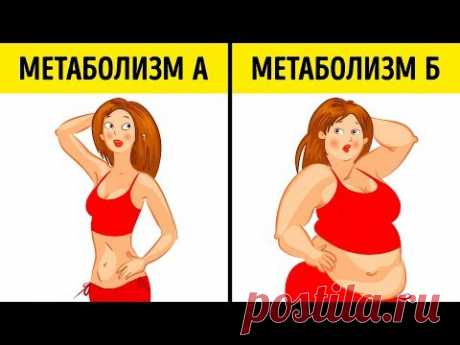 Что Такое Метаболическая Диета и Почему Она Подходит Всем