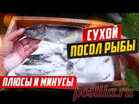 Сухой посол рыбы, Вопросы и ответы, Плюсы и минусы