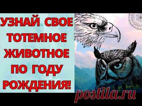 СЛАВЯНСКИЙ ГОРОСКОП ПО ГОДАМ! Кто ты по славянскому гороскопу? Тотемное животное по году рождения!