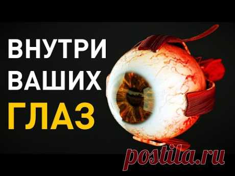 Что происходит внутри глаз