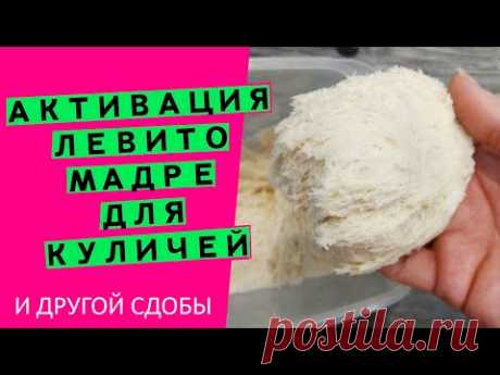 Активация левито мадре//Секреты идеального кулича {Увеличиваем подъемную силу. Часть 2}