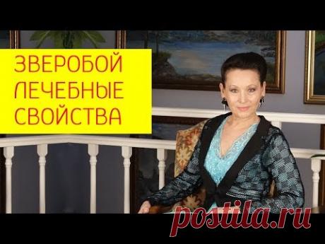 Трава зверобой на похудении. Трава зверобой лечебные свойства и противопоказания. Галина Гроссманн