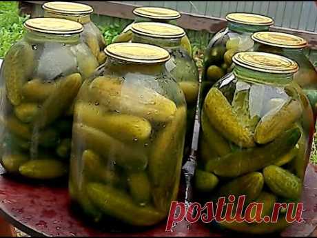 Настоящие бочковые соленые огурцы без хлопот🥒🥒🥒