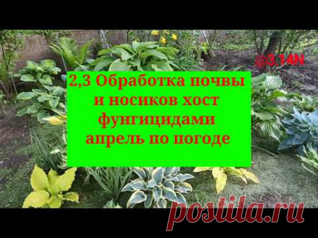 ☘️Агродневник часть 1.#агродневник#хосты#PetrNovar#Запорожье#@3.14N