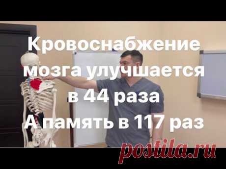 Восстановил кровоснабжение мозга с помощью этого. Как улучшить память в 116-117 раз примерно