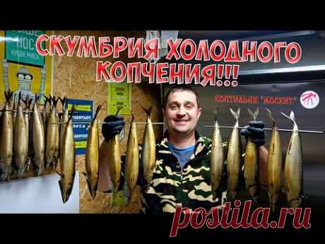 СКУМБРИЯ ХОЛОДНОГО КОПЧЕНИЯ В КОПТИЛЬНЕ ОТ КОМПАНИИ МОСКИТ, ПОДРОБНЫЙ РЕЦЕПТ!!!!!