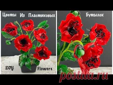 🌹Маки Из Пластиковой Бутылки Ну надо же! Вы не поверите, как настоящие. И делаются очень легко🌹