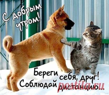 ~✽~Бepeгитe ceбя и cвoe здopoвьe!