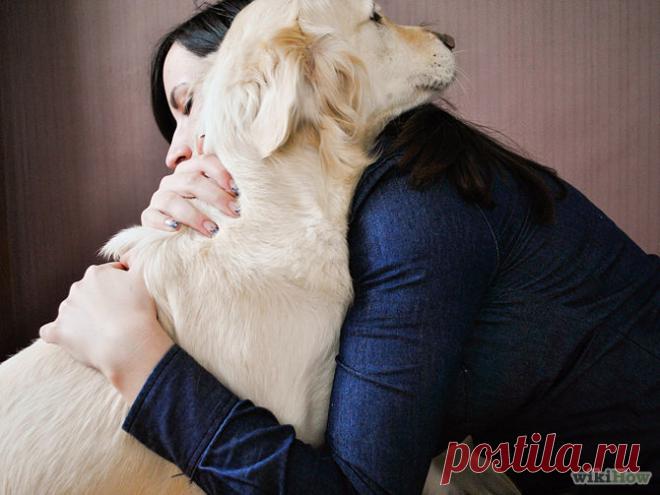 зверьё моё Нам до собак ещё расти...