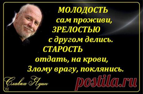 ПОГОВОРИМ О ЖИЗНИ (из цикла "Мои ядинки")