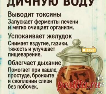 Почему стоит пить гвоздичную воду: забытый эликсир для современного здоровья &amp;#8212; Женский- журнал D-lady.ru