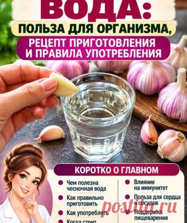 Чесночная вода: польза для организма