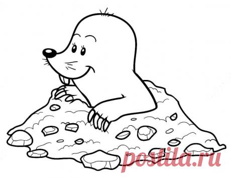 Раскраски кротов скачать или распечатать