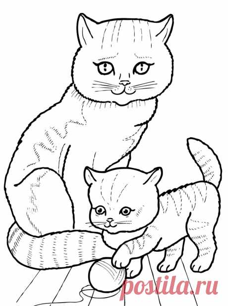 Раскраски кошек скачать или распечатать
