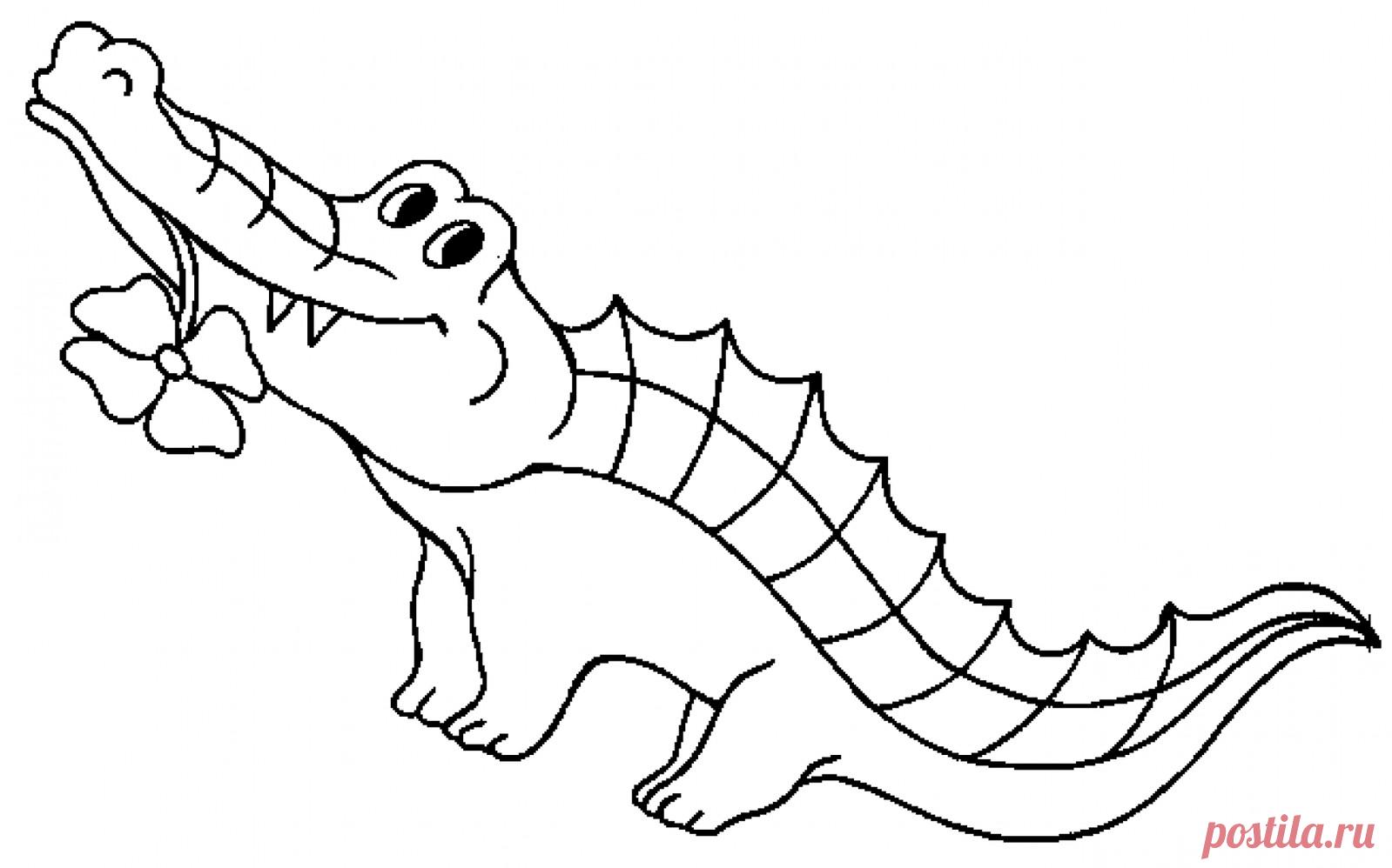 Раскраски крокодилов скачать или распечатать
