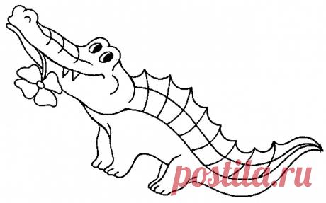 Раскраски крокодилов скачать или распечатать