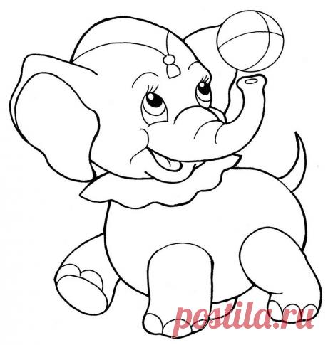 Раскраски слонов скачать или распечатать