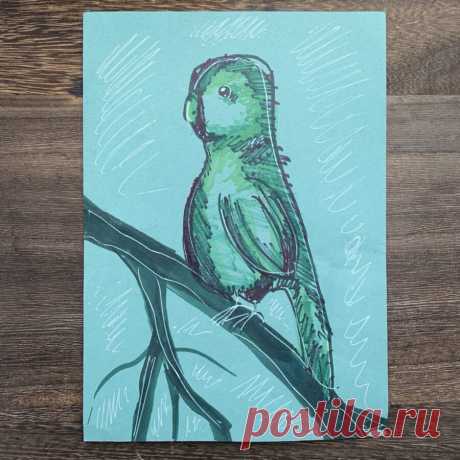 Рисунок на цветной бумаге: попугай | Креаликум