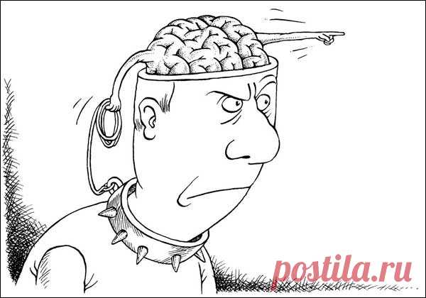 Анекдоты и Шутки про Мозг и Голову