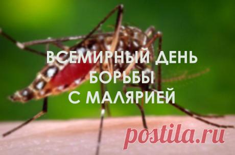 В этот значимый день благодарю вас за ваш неоценимый вклад в борьбу с малярией! Желаю новых открытий, эффективных вакцин, точных диагностик и полной победы над болезнью. Открытки на Всемирный день борьбы против малярии!
