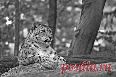 quelli che il fine settimana lo passano oziando | model: Leo… | Flickr