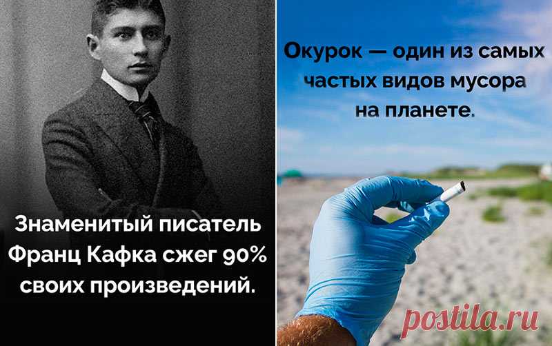 Интересные факты в картинках №9 (20 фото)