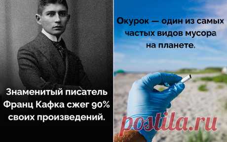 Интересные факты в картинках №9 (20 фото)