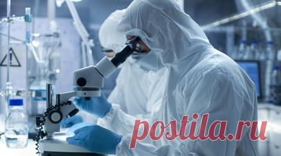 В Туве зафиксировали очаг заражения бруцеллёзом. Правительство Тувы заявило об очаге заражения бруцеллёзом в Дзун-Хемчикском районе региона. Читать далее