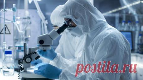 В Туве зафиксировали очаг заражения бруцеллёзом. Правительство Тувы заявило об очаге заражения бруцеллёзом в Дзун-Хемчикском районе региона. Читать далее