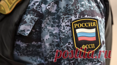 ФССП планирует ограничить выдачу лицензий на оружие должникам. Замдиректора Федеральной службы судебных приставов Елена Захаркина заявила, что ведомство намерено выступить с инициативой об ограничении выдачи лицензий на оружие людям, у которых есть непогашенные судебные долги. Читать далее