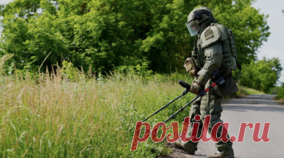 В приграничных районах Курской области разминировано 69,5 тысячи га. В приграничных районах Курской области сапёры разминировали 69,5 тыс. га территории, сообщил врио заместителя губернатора региона Владимир Базаров на заседании местного правительства. Читать далее