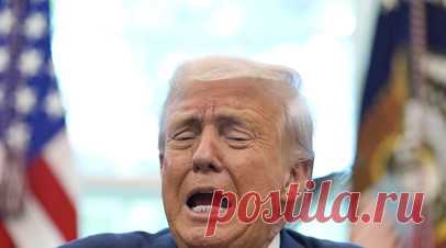 Трамп: украинский конфликт не должен был начаться. Лидер Соединённых Штатов Дональд Трамп сказал журналистам, что ответственность за конфликт на Украине лежит на всех сторонах. Читать далее