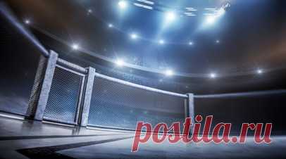 Рабаданов перевесил британца Дэвиса перед финалом Гран-при PFL в лёгком весе. Российский боец Гаджи Рабаданов прошёл процедуру взвешивания перед поединком PFL в лёгком весе с британцем Альфи Дэвисом. Читать далее