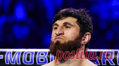 Анкалаев — Перейре: этот клоун должен быть мне очень благодарен. Российский чемпион UFC в полутяжёлом весе Магомед Анкалаев ответил на заявления бразильца Алекса Перейры. Читать далее