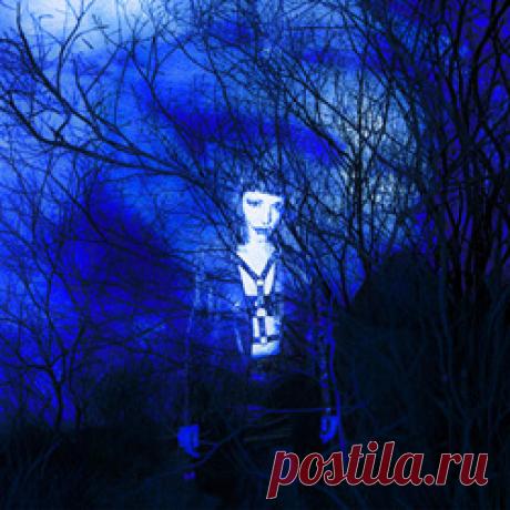 Beta Libre - The Roots And The Blue (2026) 320kbps / FLAC