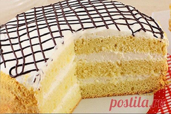 Бисквит со сметанным кремом — ДОМАШНИЕ