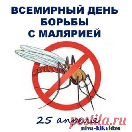 Желаю вам и вашим близким здоровья и безопасности! Пусть малярия останется лишь в учебниках истории. Открытки на Всемирный день борьбы против малярии!