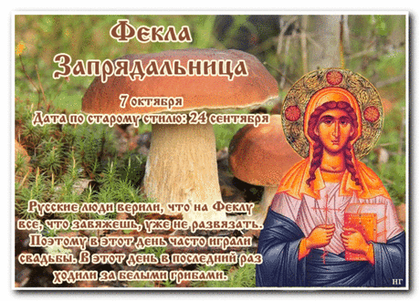 Яркое солнце в этот день сулит быструю смену погоды. Открытки на День Фёклы Заревницы.