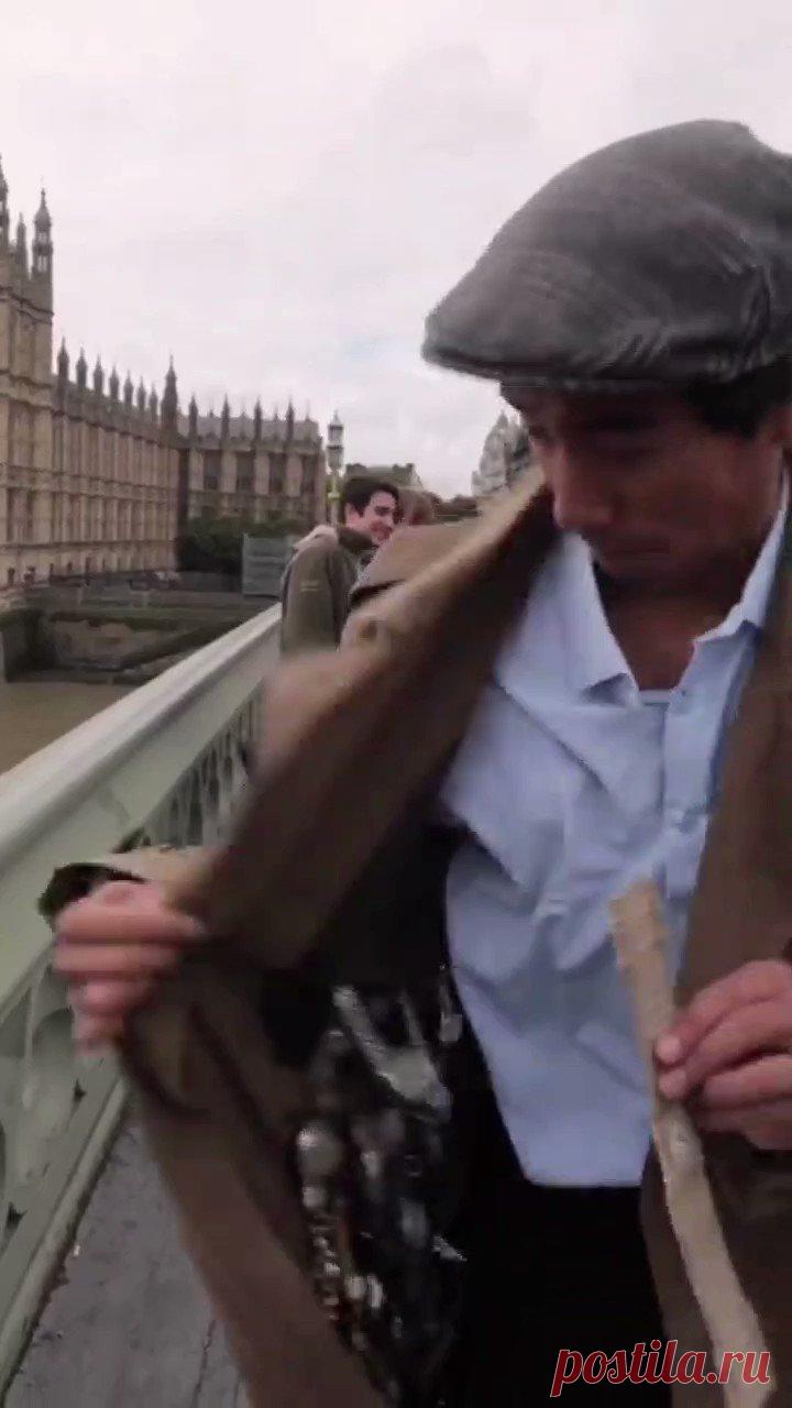 Инга_Сташинская в Твиттере “Ха, правда или опять обманули🤔”