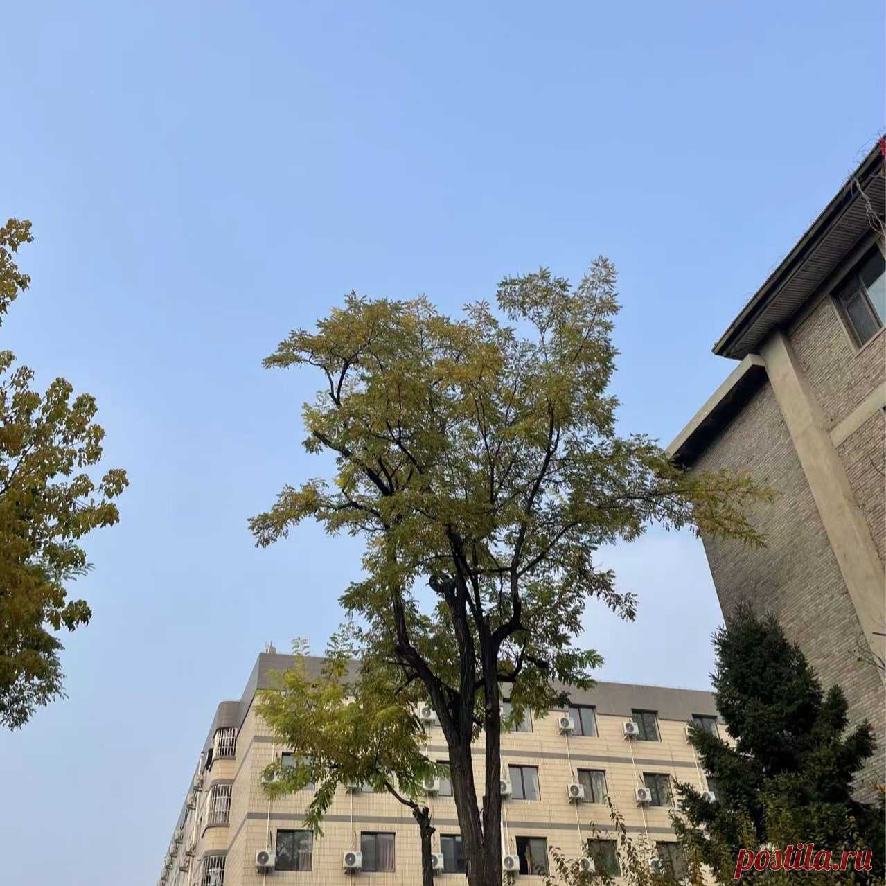 Cómo hacer un molde para una olla de aluminio invertida_Baidu Knows