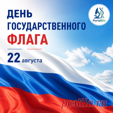 День Государственного флага России: история, значение, дата | PortalBio