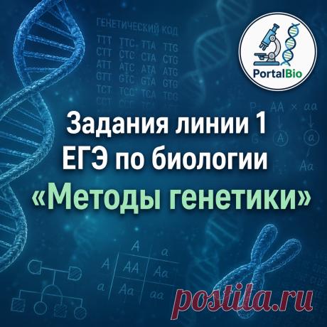 Задания линии 1 «Методы генетики»