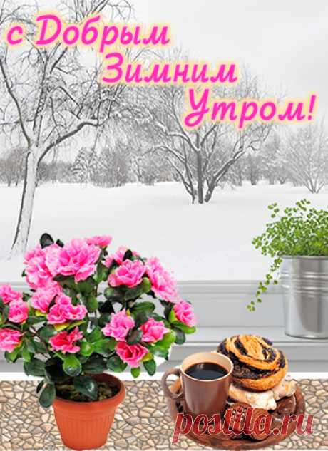 открытка с зимним утром