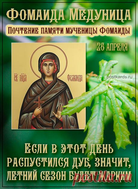 С днем Фомаиды! Желаю тебе быть истинной хранительницей домашнего очага, мудрой и любящей. Пусть святая Фомаида оберегает твою семью от раздоров, дарит мир и взаимопонимание. Открытки на Фомаида Медуница!