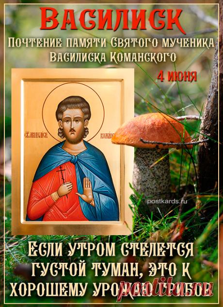 С Васильковым днем! Желаю ярких красок, безоблачного неба и бесконечной гармонии вокруг! Открытки на Василисков или Васильковый день!
