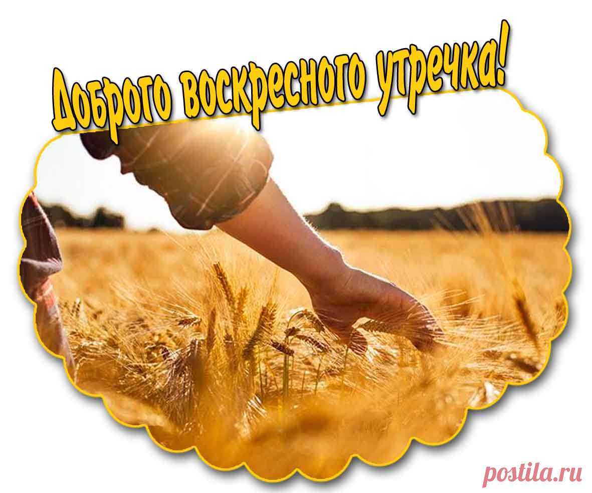 Открытка доброго воскресного утра