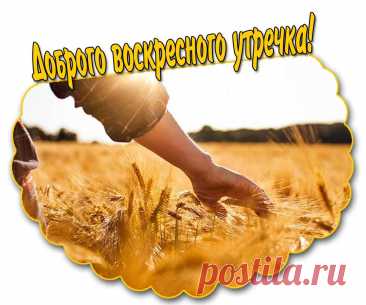 Открытка доброго воскресного утра