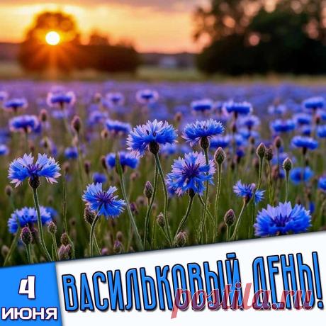 Пусть 4 июня принесет тебе соловьиные трели за окном, море вдохновения и отличное летнее настроение! Открытки на Василисков или Васильковый день!